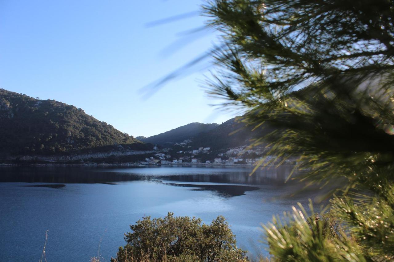 Apartment Marija Mljet 4 Sobra المظهر الخارجي الصورة